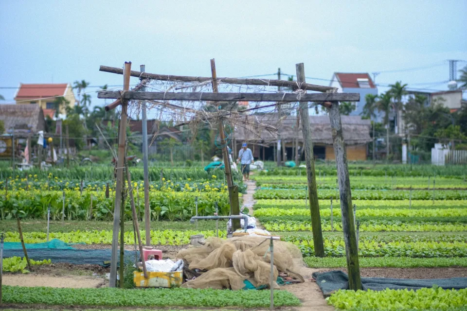 Nông sản nổi bật